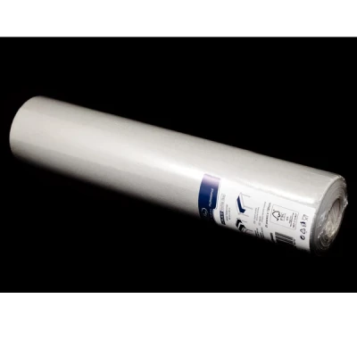 PAW-BIEŻNIK AIRLAID 40*24CM SREBRO 20szt