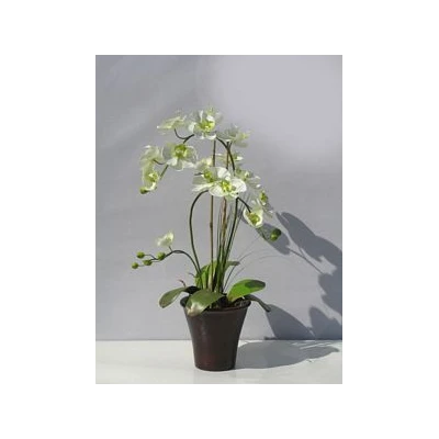 TOM-STORCZ.W DON.63CM XDT1297