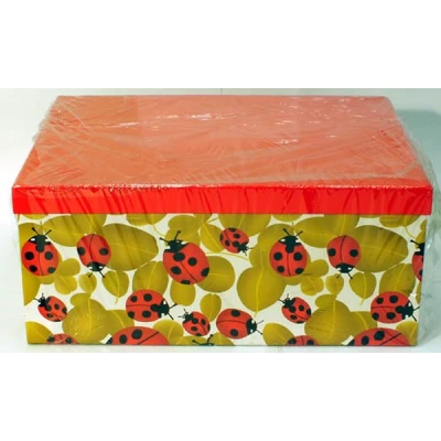 TOM-KPL.10 PUDEŁEK CBP10_07