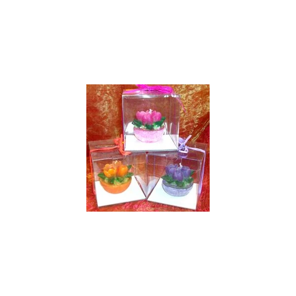 CAND-ŚWIECA DON.TULIPAN MAŁY