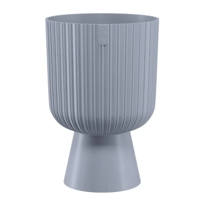 DONICZKA KELI MIKA PETIT 14  PLATYNA