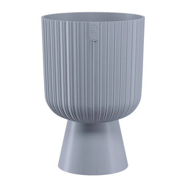 DONICZKA KELI MIKA PETIT 14  PLATYNA