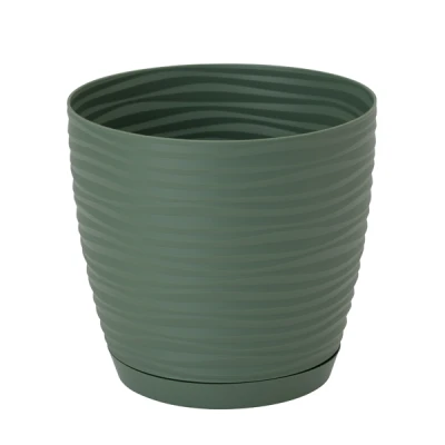 DONICZKA SAHARA PETIT Z/P *17* ZIELONA HERBATA