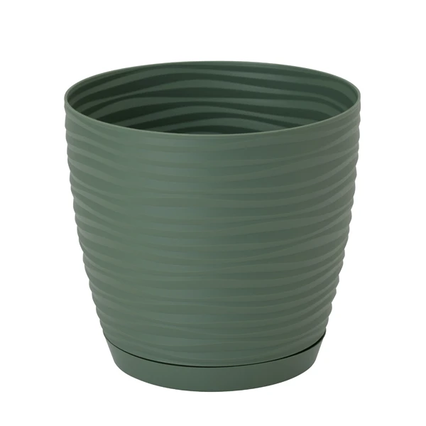 DONICZKA SAHARA PETIT Z/P *17* ZIELONA HERBATA